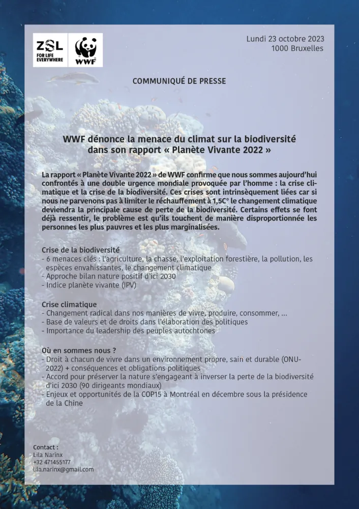 Communiqués de presse rédigés dans le cadre de mes cours d’expression écrite suivis à l’IHECS, visuel 2